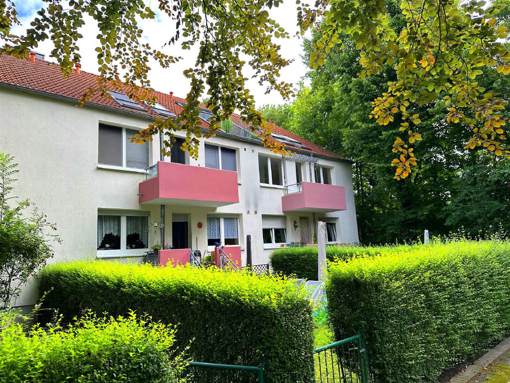 Bild1