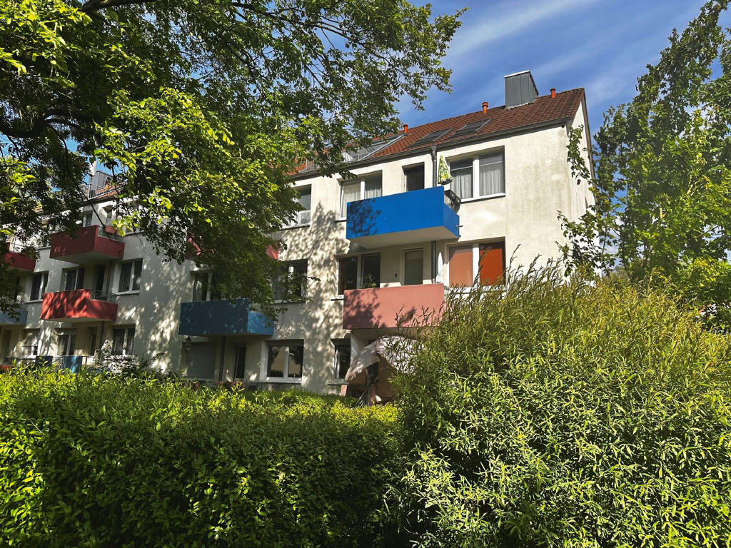 Bild1