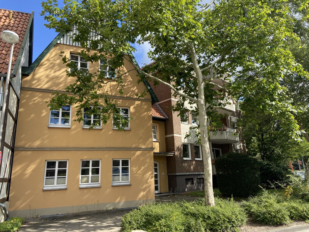 Bild1
