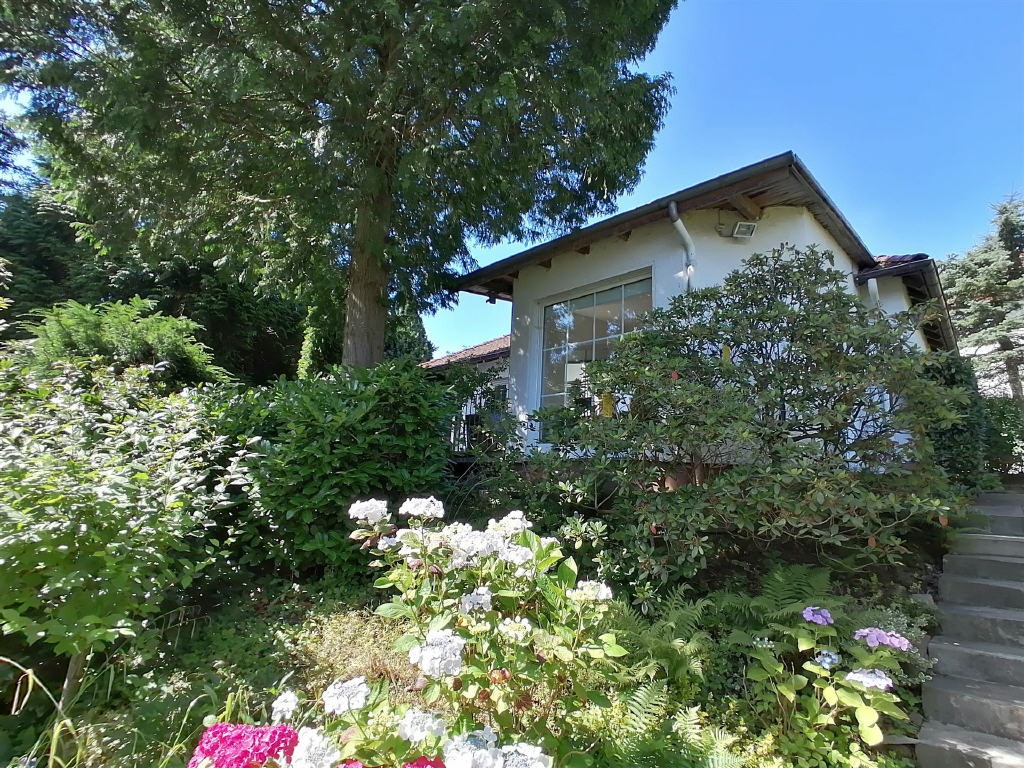 004204004500_302_328_10072024105252704