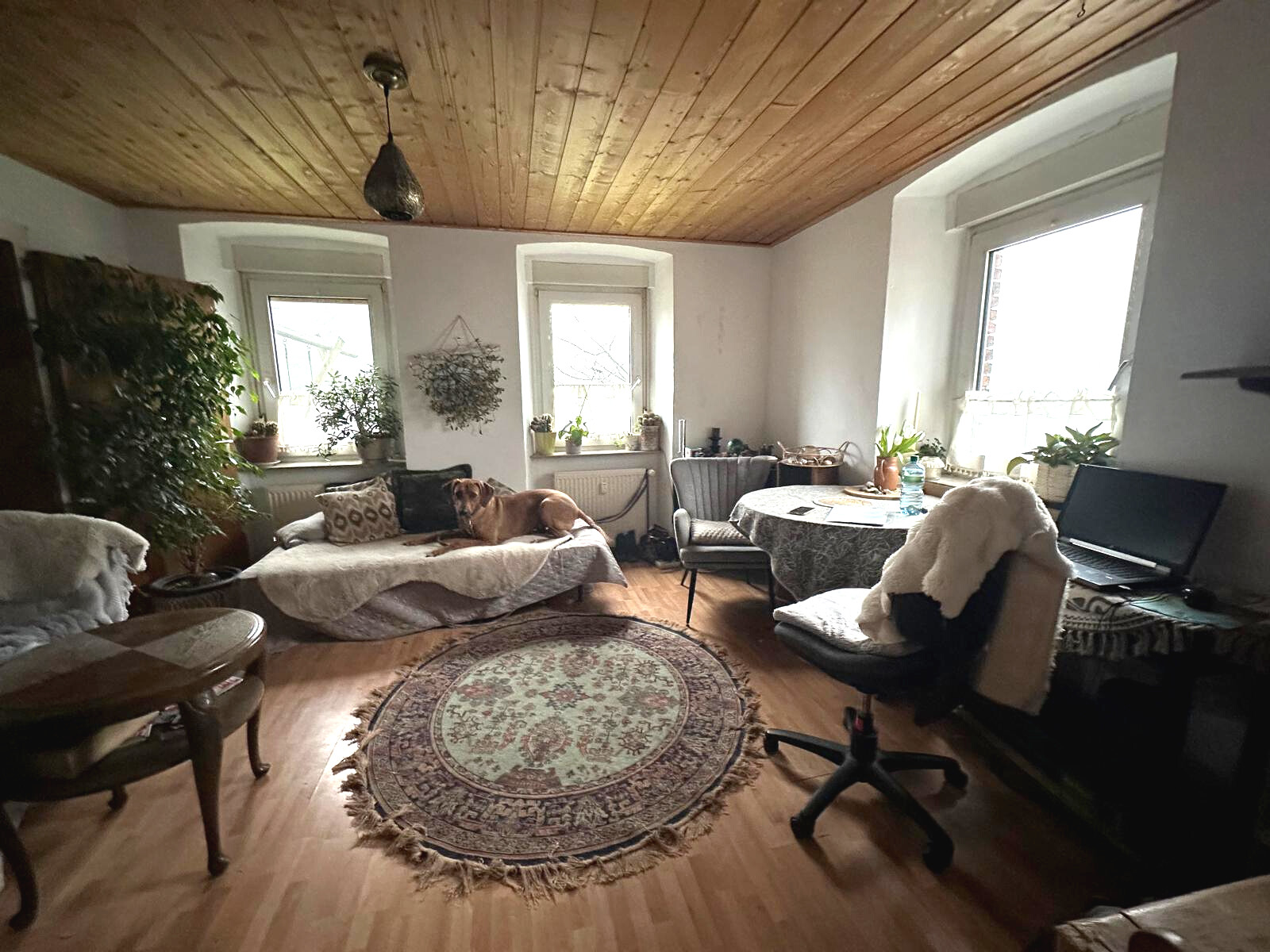 WhatsApp Image 2026-02-16 at 17.20.49 (11)