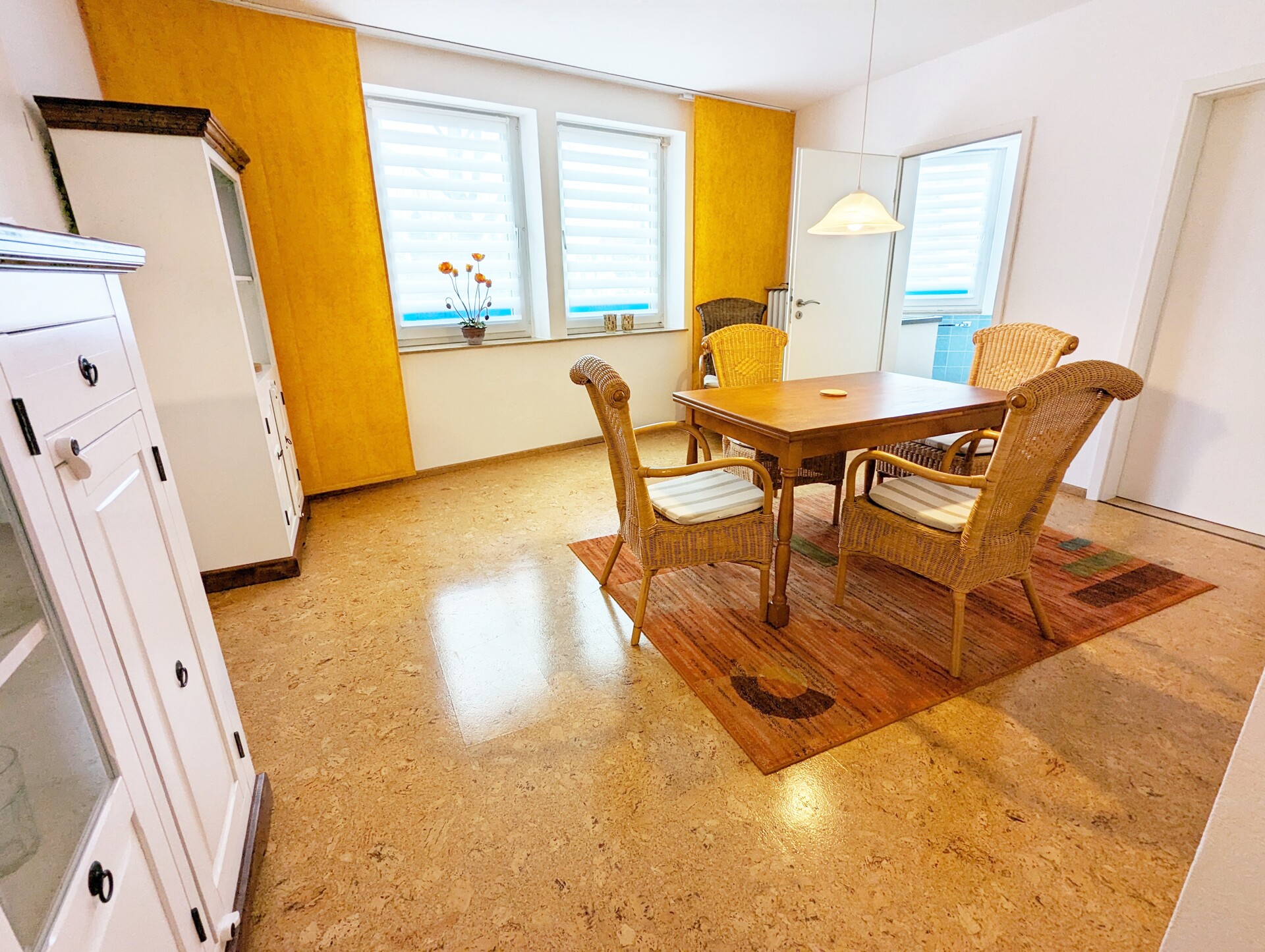 PXL_20240226_125139989-01